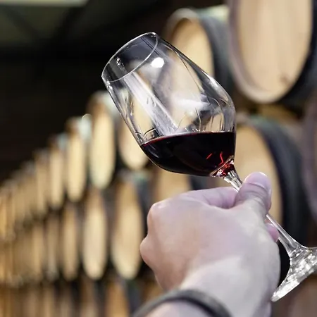 Trindade Flat With Great View *